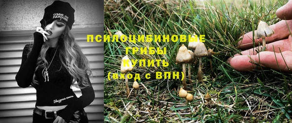 амф Богданович