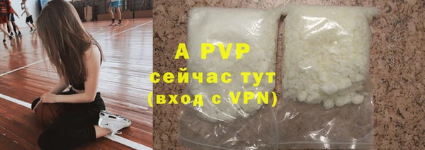 амф Богданович
